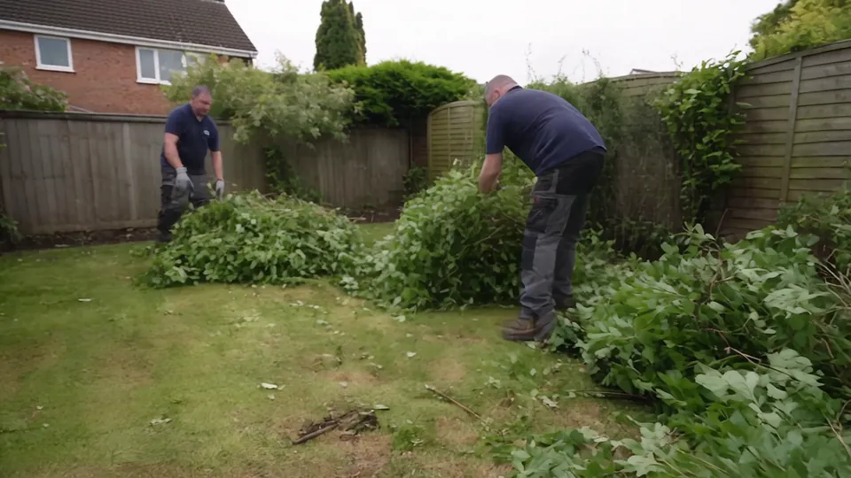 Garden cleared and the cuttings taken away: before
