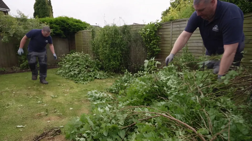An overgrown garden being cleared